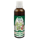 サンザシの芽エキス(Hloh)ジェモエキス《ナディエ》50mL