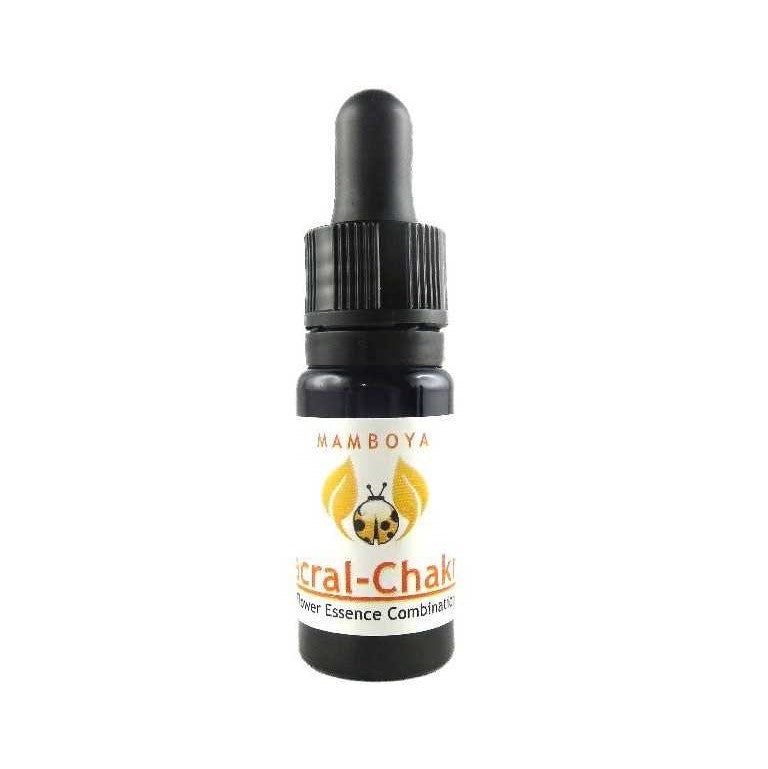 第2チャクラ (セイクラルチャクラ)《マンボヤフラワーエッセンス》10mL