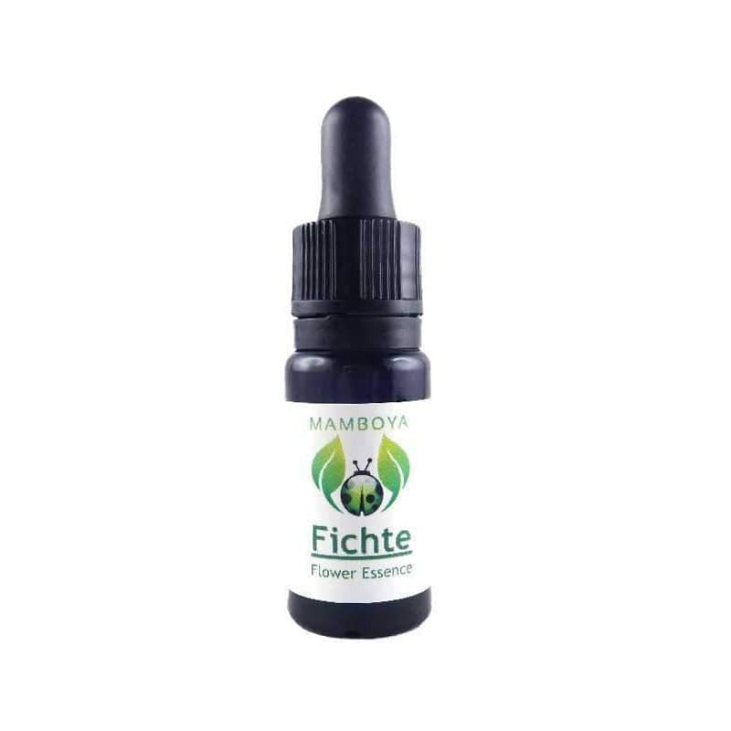 トウヒ(長老)《マンボヤフラワーエッセンス》10mL