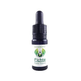 トウヒ(長老)《マンボヤフラワーエッセンス》10mL