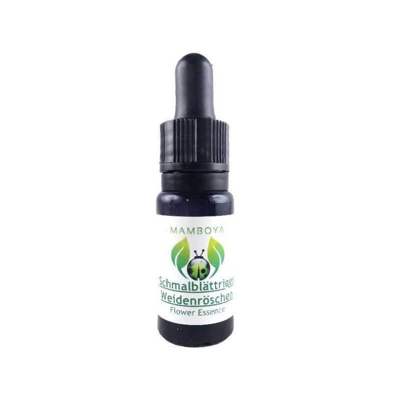 ヤナギソウ(女性ヒーラー)《マンボヤフラワーエッセンス》10mL