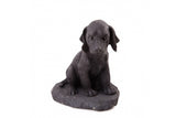 子犬（シュンガイト彫像） 《シュンガイト》 11cm